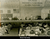 brown city camp_thumb.gif